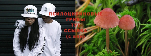 MDMA Premium VHQ Касимов