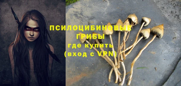 a pvp Карталы