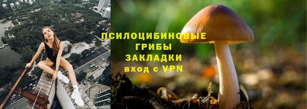 a pvp Карталы