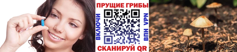 Купить  Талдом  Галлюциногенные грибы мухоморы 
